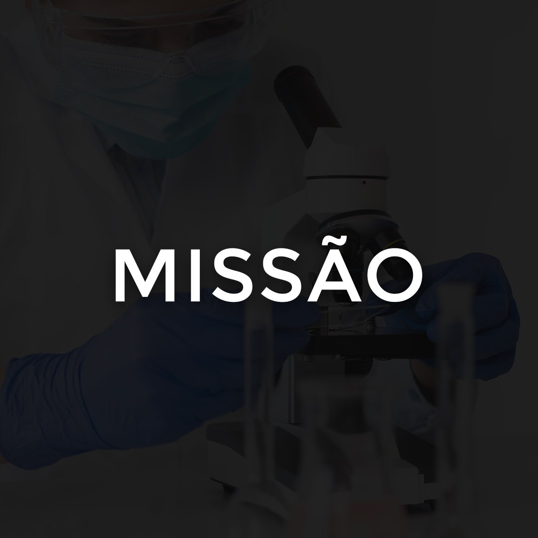 MISSÃO LABORATORIO SANTIAGO E VILELA