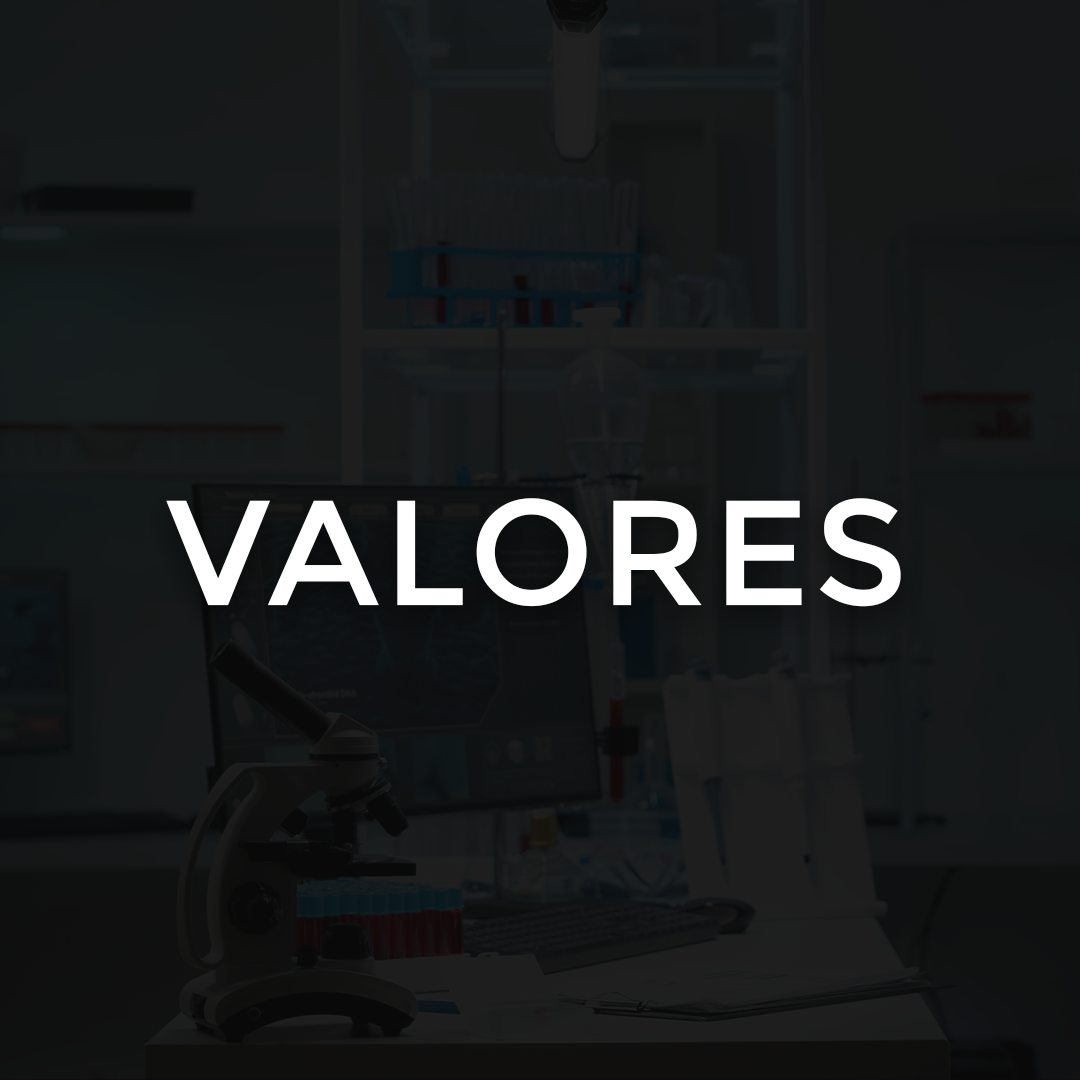 VALORES LABORATORIO SANTIAGO E VILELA