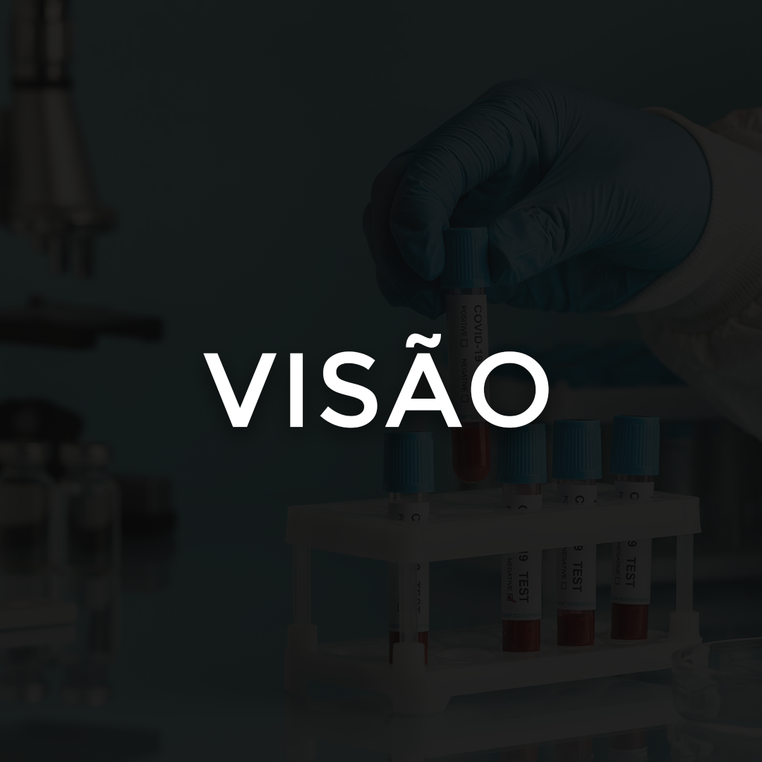 VISÃO LABORATORIO SANTIAGO E VILELA